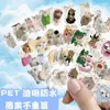 70 Adesivos de Gatinhos Super Fofos Não Repetidos, Adesivos Populares de Emojis de Gatinhos, Fornecimento Atacadista Transfronteiriço