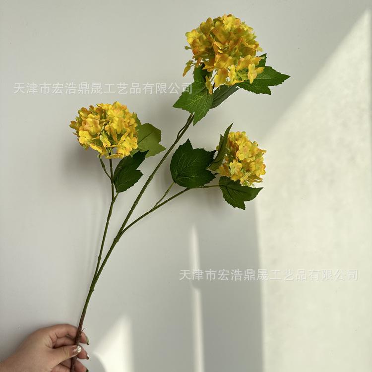 微信图片_202303091820173_副本