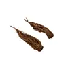 Productos Auténticos del Lugar de Origen del Angélica de Gansu, Enviados Directamente, Sin Fumigación con Azufre