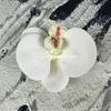 Flor artificial Phalaenopsis flor 3D de película cabeza de flor estilo ramillete regalo de mano LV Fu regalo DIY caja de regalo decoración de boda