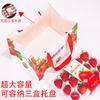 Bolso de fresa caja de regalo vacía universal leche Naixue fresa Dandong jiujiu bolso en stock al por mayor