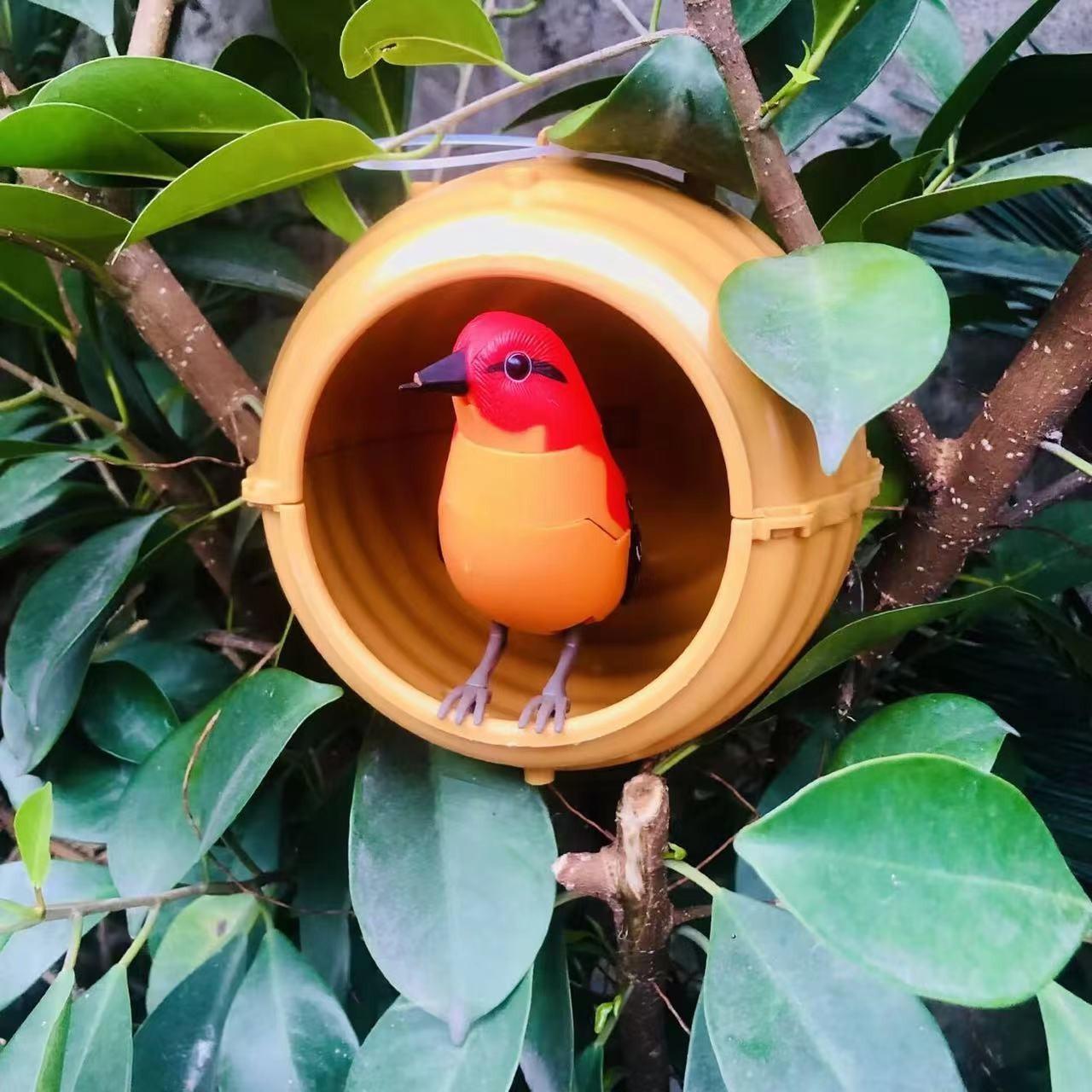 1.jpg?x-oss-process=image/format,png