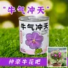 Kit de plantación de panda lindo para niños, regalo creativo para estudiantes de primaria, planta hecha a mano DIY, planta verde en un recipiente