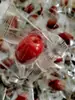 Bolsa de Dulces de Dátiles para Snack Empaque Pequeño Individual Dátiles Grises de Xinjiang Dátiles Rojos Premium Sin Lavar Bolsa de Dátiles Individual para Llevar
