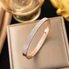 Pulseira Transfronteiriça de Aço Titânio para Mulheres com Diamantes Que Não Desbota, Zircônia Banhada a Ouro Real, Pulseira de Aço Inoxidável de Alta Qualidade, Simples e Versátil