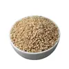Arroz de Germen de Trigo Pelado, Nueva Cosecha, Granos Enteros Pelados Comestibles, Arroz de Grano Grueso, Arroz Integral, Productos de Granja
