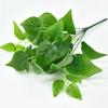 Fabricante Original, Plantas Simuladas, Flores Falsas de Plástico, Accesorios para Paredes de Plantas, Hojas con Sensación Pegajosa, Hojas de Tortuga, Rábano Verde