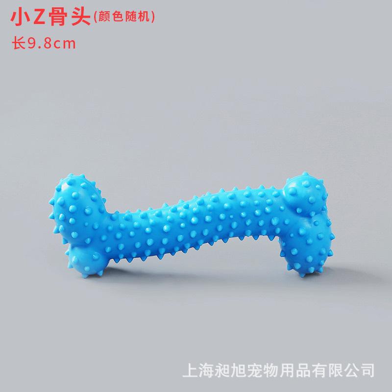 小Z骨头.jpg