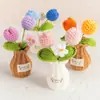 Acabamento Cruzado Feito à Mão Crochê Tulipa em Vaso Rosa Ornamentos Lã Tricotada Vaso Flor Artificial Planta em Vaso para Mesa