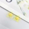 Pendientes de Acrílico Creativos Hechos a Mano Color Transparentes Pequeños Frescos Lindos para Chica Hyun-a Accesorios para el Cabello Accesorios DIY
