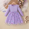 Vestidos de Niña de Comercio Exterior Primavera y Otoño Faldas Tutú de Manga Larga para Niños Faldas de Princesa de Malla de Puntos Faldas de Malla de Primavera para Niñas