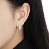Brincos de Fio Desenho Fosco e Diamante Novo Estilo Feminino Prata Esterlina S925 de Alta Qualidade Nicho Sexy Prata de Luxo Leve