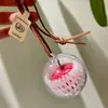 Un Llavero Colgante Hebilla de Manzana de Manzana Regalo Colgante para Bolso de Pareja Fruta de la Paz Navideña Colgante para Coche
