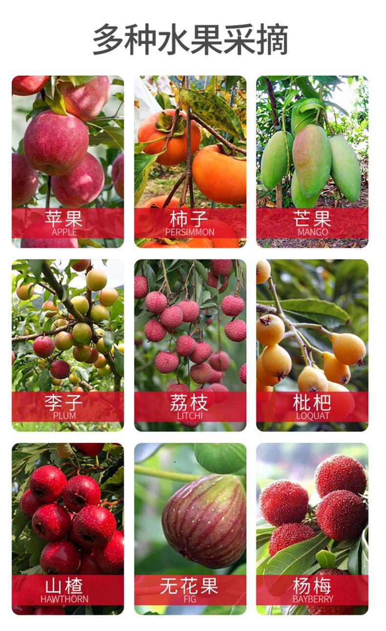 模板_16.jpg