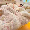 Edredón de Felpa Grueso de Doble Cara para Invierno al por Mayor, Ropa de Cama de Felpa de Leche y Felpa de Cordero, Edredón para Persona Doble de Hogar para Cuatro Estaciones, Núcleo de Edredón Individual para Dormitorio