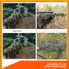 Ropa Táctica de Camuflaje Cuerda de Camuflaje Traje Geeli de Camuflaje Cuerda para Perro Bunker