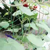 Rede de Treliça para Plantas Rede de Treliça para Jardim Rede de Suporte para Plantas Verdes Rede para Maracujá Uva