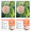 Novo Modelo para Entrega: Zhumeng Casa Celebridade da Internet Sem Fogo Líquido Refil de Aromaterapia para Quarto de Menina Fragrância Gaiola de Pássaro Pequeno Perfume