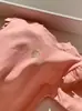 Camiseta de Manga Larga con Bloques de Color y Mangas de Murciélago Estilo Nuevo Primavera y Otoño Top Dulce Coreano Bordado de Corazón Camiseta de Manga Larga para Niñas