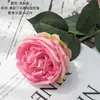 Austin Hidratante Rosa Manualidades Flores Artificiales Fabricante Flores Falsas Plantas Verdes Venta al por Mayor Decoración de Bodas Transfronterizo