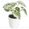 En Stock Hoja Única de Planta Verde Plástico Bonsái Decoración del Hogar Amazon Escritorio Maceta Adorno Pequeño Fabricante de Comercio Exterior