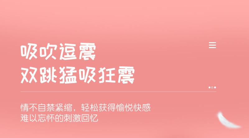 描述图12