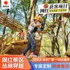 Projetos de Expansão Baseados em Árvores para Aventura na Selva, Equipamentos de Diversão para Escalada em Áreas Cênicas, Instalações de Expansão de Pontes de Corda na Selva