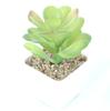 Suculenta Artificial Cabeça de Flor de Suculenta Artificial Bonsai Artificial Acessórios DIY Fabricante Conjunto de Cabeças de Flor de Suculenta Cor Personalizada