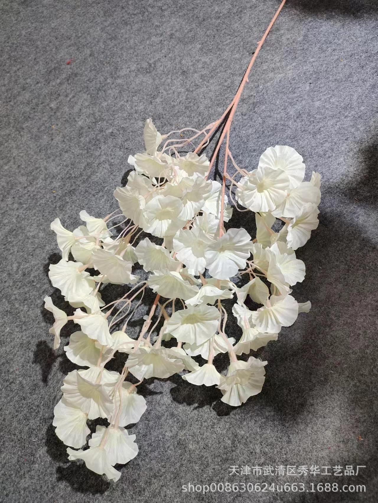 偻兰白色