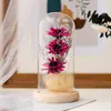 Flor Eterna Cobertura de Vidro Girassol Flor de Gergelim Luz Noturna LED Presente de Natal Dia dos Namorados Venda por Atacado de Fábrica