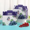 Caixa de Embalagem de Uvas de Tamanho Grande Universal, Caixa de Presente de Uvas Portátil com Casca Dura, Caixa de Embalagem Externa de Frutas para Presente de Feriado de Alta Qualidade