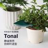 Dispositivo de Riego de Flores con Forma de Hoja, Embudo de Riego Creativo con Forma de Hoja para Plantas en Maceta, Dispositivo de Riego para Riego de Plantas