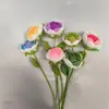 Atacado de fábrica rosa de lã feita à mão crochê rosa tecido simulação buquê diy finalizado transfronteiriço
