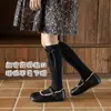 Meias Infantis Estilo Coreano, Meias Longas de Cor Sólida com Laço para Bebês, Meias de Meia-Panturrilha para Roupa de Pequena Princesa, Primavera, Malha Dupla