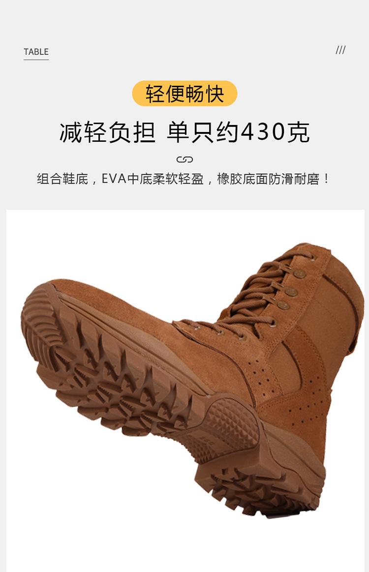 21作战详情_10.jpg