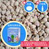 Muñeca Cabeza de Pasto Venta al Mayoreo Muñeca de Pasto Largo Muñeca Floreciente Plantas Verdes en Maceta Pequeña para Niños Plantas Hidropónicas Tienda de Dos Pesos Regalos