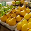 Super Realista Ponderado Simulada Fruta Maçã Falsa Legume e Fruta Adereços Limão Fruta Modelo Decoração