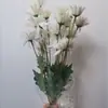 Combinación de Flores Artificiales Blancas Magnolia Phalaenopsis Rosa Diente de León Decoración Escénica de Boda Material de Flor Artificial Fabricante