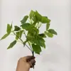 Colgante de Pared de Planta Artificial de 5 Ramas, Pequeño Ramillete de Plantas Verdes de 7 Ramas, Hojas de Potos, Decoración de Pared para Interiores, Plantas Verdes Falsas