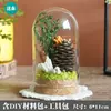Materiales para Manualidades de Flores Preservadas Flores Secas Adornos de Cúpula de Cristal Actividad de Arreglo Floral Hecho a Mano para Padres e Hijos Regalos de Temporada de Graduación Adornos Colgantes