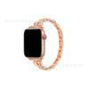 Para Correa Apple Set Y Diamante Metal Apple 3/4/5/6/7 generación iwatch reloj correa de reloj 45mm