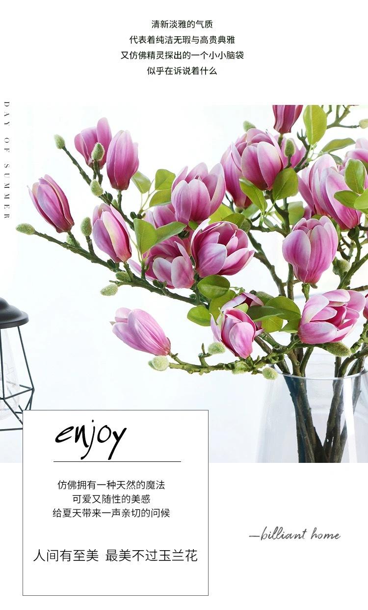 微信图片_202102162258441