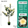 Árvores artificiais em vaso, árvores de flores artificiais, árvores frutíferas, decorações de plantas verdes para casa, árvores de flores artificiais, arranjo de cena, paisagismo, plantas artificiais