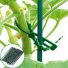 50 bridas verdes multiusos para jardín, bridas para plantas, jardinería, bridas de espina de pescado, suministro transfronterizo