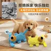 Juguetes para Perros Duraderos y Resistentes a la Mordida, Autoentretenimiento, Alivian el Aburrimiento, para Cachorros y Perros Jóvenes, Juguetes con Sonido de Molienda de Dientes, Juguetes de Mopa Chirriantes para Mascotas