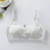 Ropa interior para el desarrollo para estudiantes femeninas, Sujetadores para chicas de preparatoria y secundaria, Sin varillas, Estilo delgado, Estilo japonés, Camisola cómoda de algodón