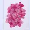 Hortênsia Embossada Flor Seca Planta de Pão Espécime Marcador de Página Artesanal Infantil Cartão Postal Flor Seca Maquiagem diy Material de Cola de Gota
