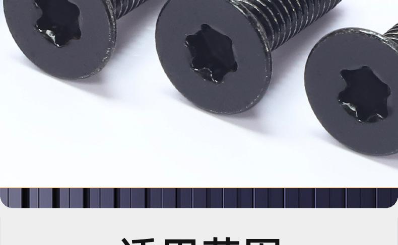201不锈钢镀黑锌沉头梅花机牙螺丝_03_20.jpg
