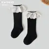 Calcetines de algodón de grado A para bebé, versátiles para primavera y otoño, con un dulce diseño de encaje calado, de longitud media hasta la pantorrilla y un borde festoneado estilo princesa.