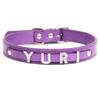 Produtos para animais de estimação DIY, roupas mais vendidas, com letras de diamante, corda de tração, acessórios para coleira de pescoço, coleira de couro PU para cachorro